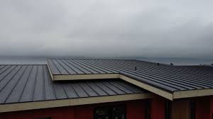 Best Metal Roofing Installation  in New Haven, IN